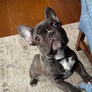 Meet your Posher, Rachel